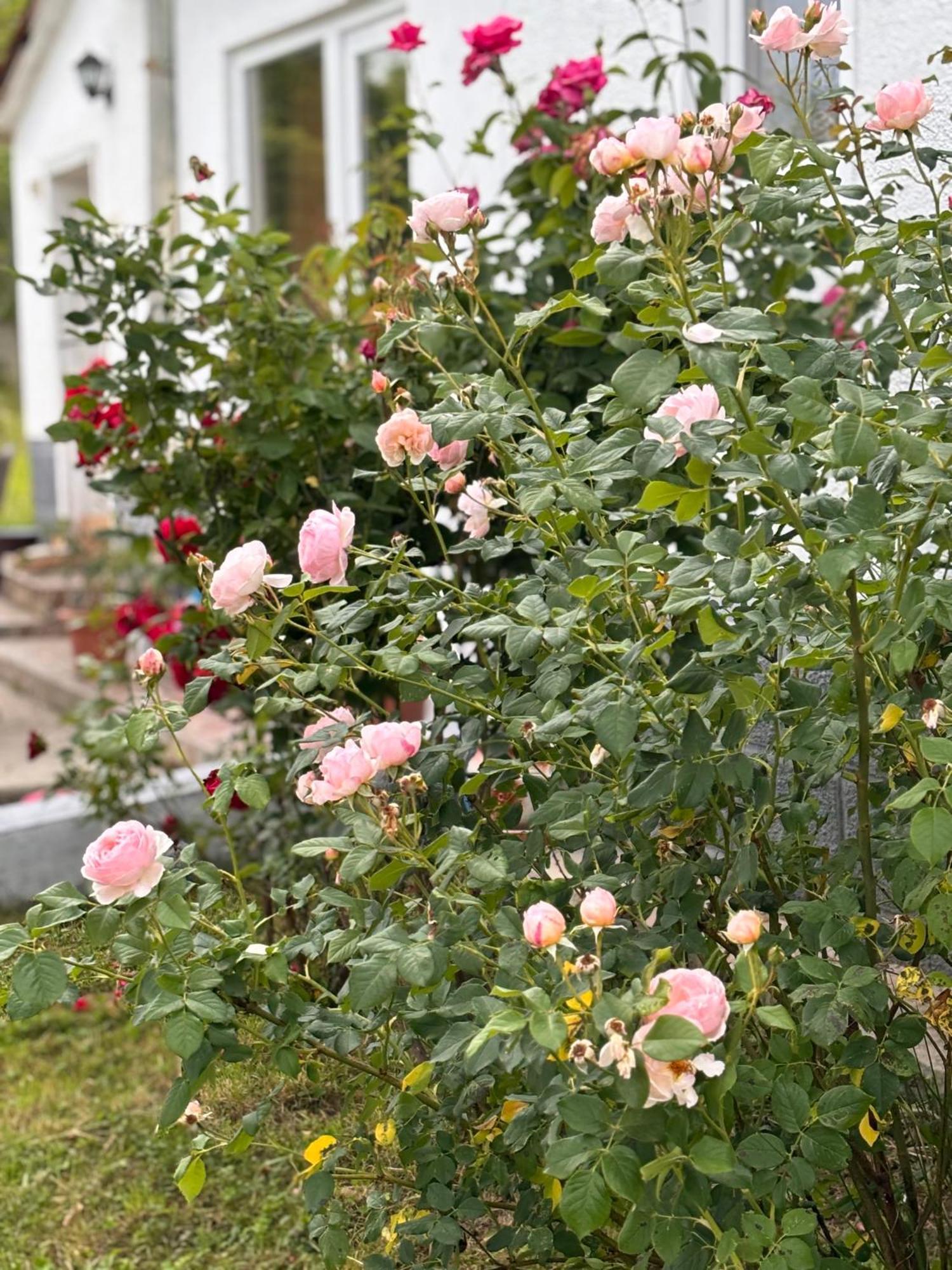 Country House Hatagel Exterior foto